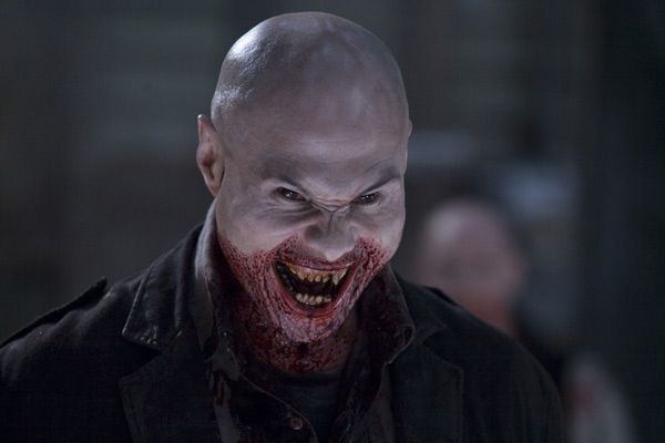 30 días de noche : Foto