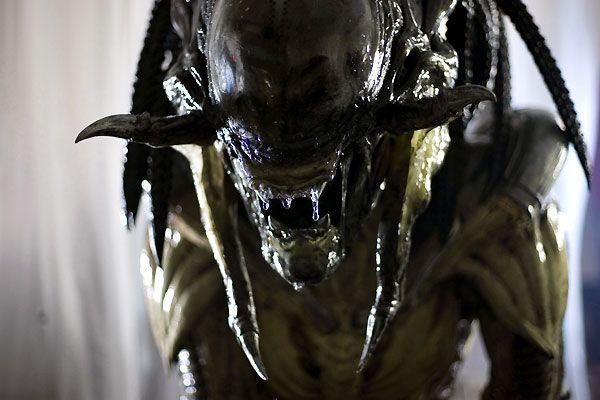 Aliens vs. Depredador 2 : Foto