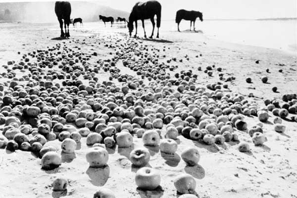 La infancia de Iván : Foto