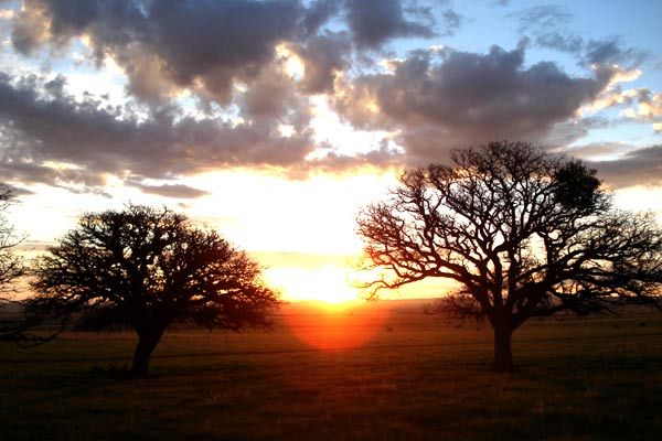 Luz silenciosa : Foto Carlos Reygadas