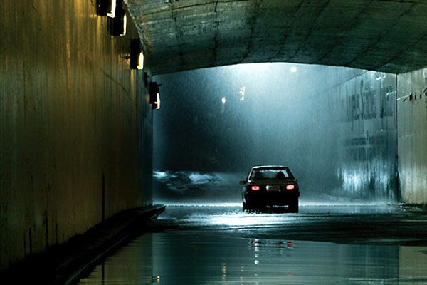 Párpados azules : Foto