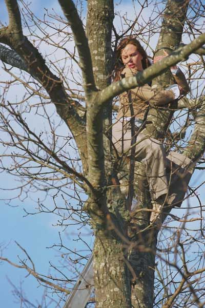 Margot y la boda : Foto Nicole Kidman