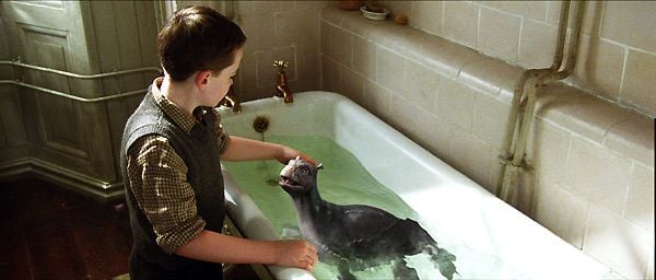 Mi mascota es un monstruo : Foto