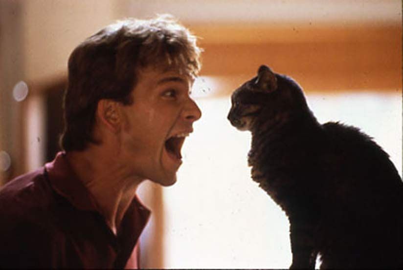 Ghost: La sombra del amor : Foto Patrick Swayze