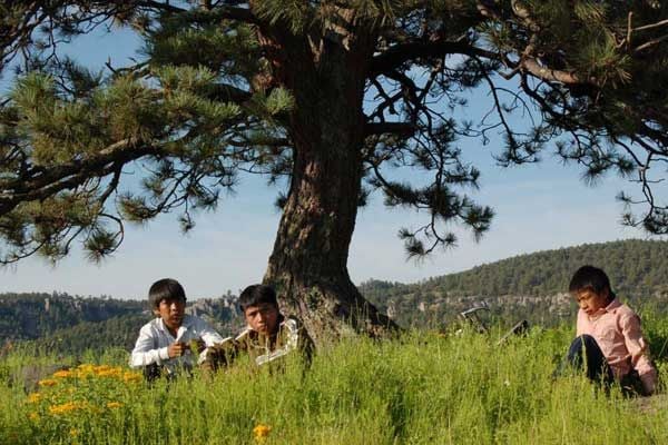 Cochochi : Foto Laura Amelia Guzmán, Israel Cárdenas