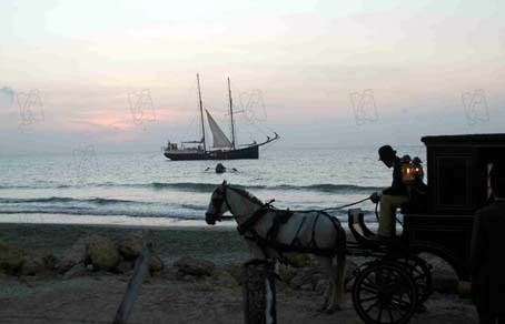 El amor en los tiempos del cólera : Foto Mike Newell