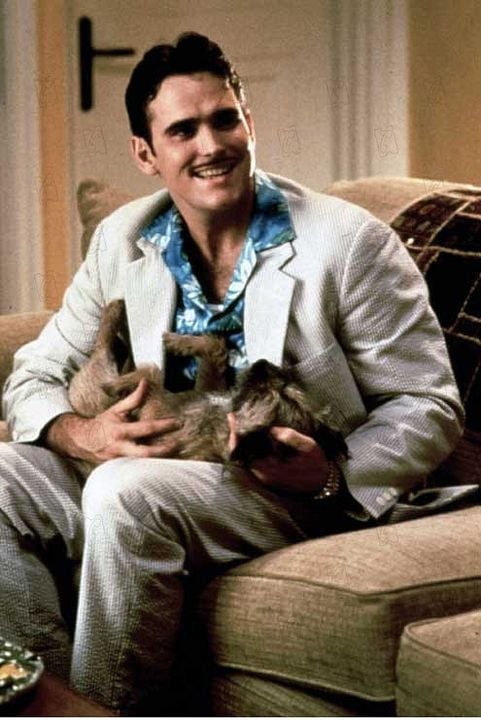 Loco por Mary : Foto Matt Dillon, Peter Farrelly