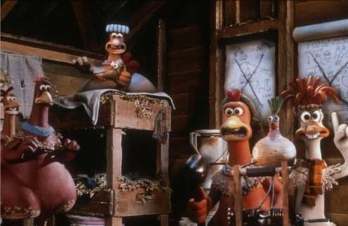 Pollitos en fuga : Foto