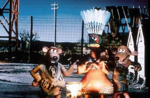 Pollitos en fuga : Foto