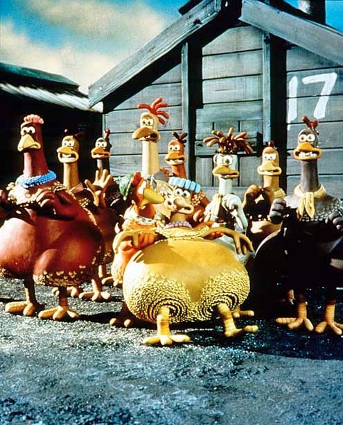 Pollitos en fuga : Foto