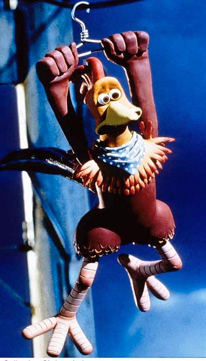 Pollitos en fuga : Foto