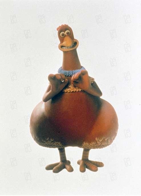 Pollitos en fuga : Foto