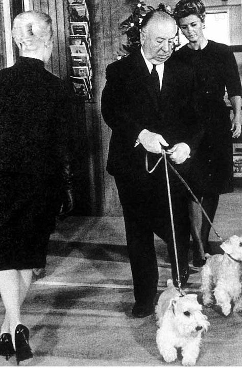 Los pájaros : Foto Alfred Hitchcock