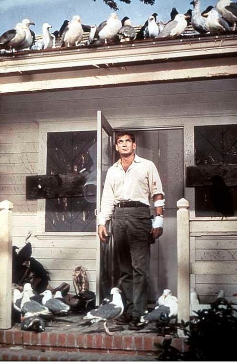 Los pájaros : Foto Alfred Hitchcock