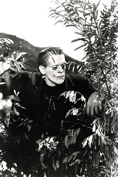 Frankenstein : Foto James Whale