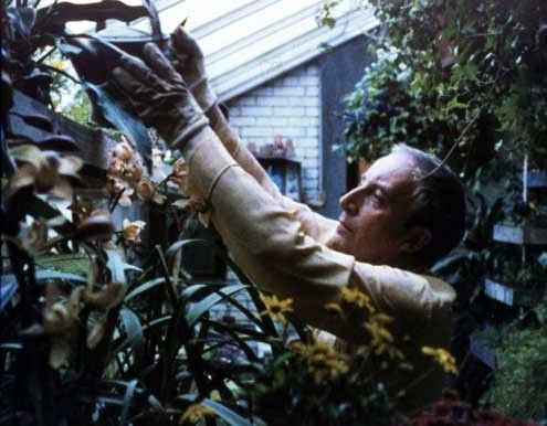 Un jardinero con suerte : Foto