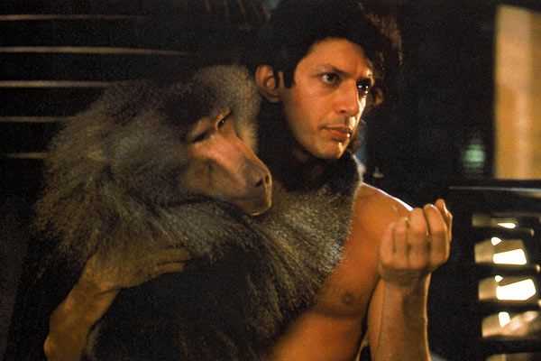 La mosca : Foto Jeff Goldblum