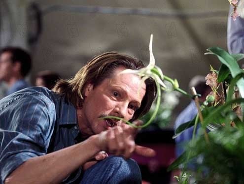El ladrón de orquídeas : Foto Spike Jonze, Chris Cooper