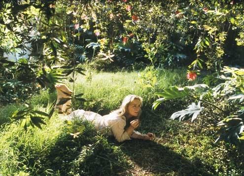 El ladrón de orquídeas : Foto Nicolas Cage, Spike Jonze