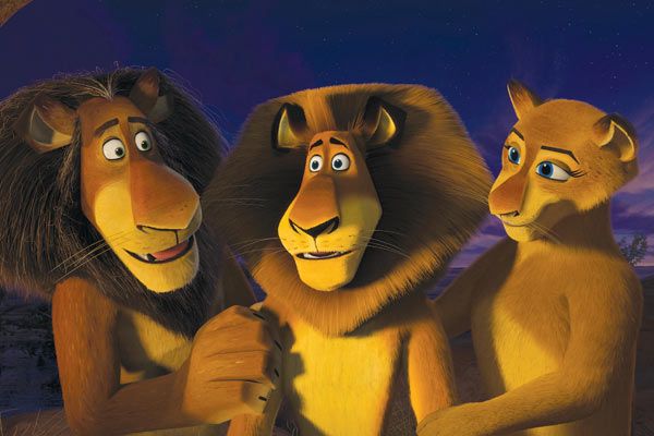 Madagascar 2 : Foto