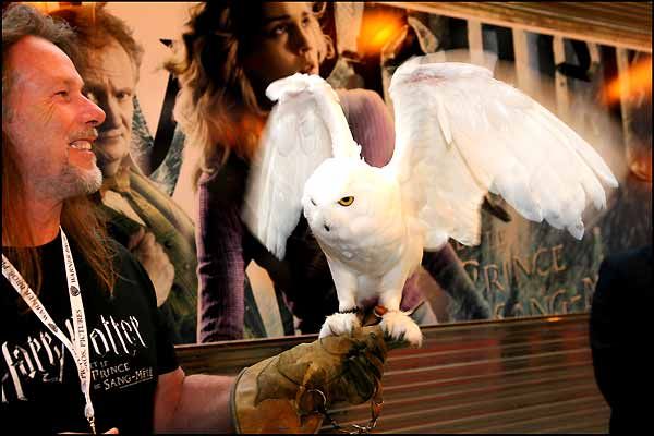 Harry Potter y el misterio del príncipe : Foto