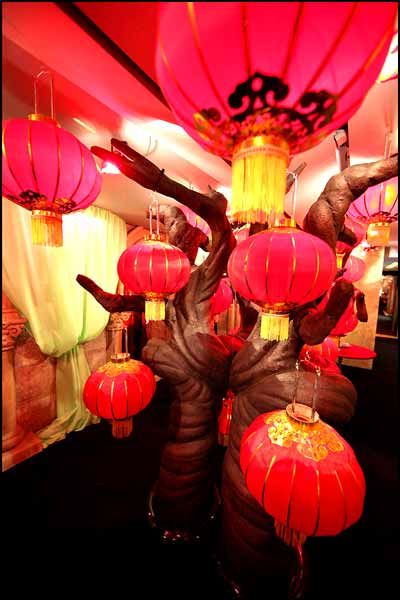 Harry Potter y el misterio del príncipe : Foto