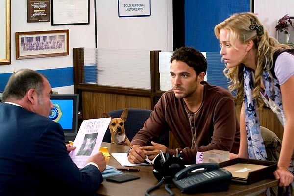 Un chihuahua de Beverly Hills : Foto Manolo Cardona, Raja Gosnell, Piper Perabo