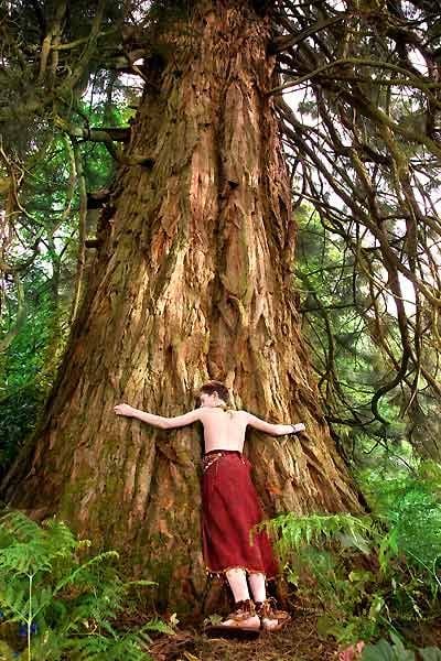 Arthur y la venganza de Maltazard : Foto Freddie Highmore