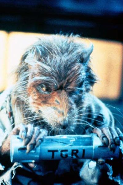 Las tortugas Ninja : Foto