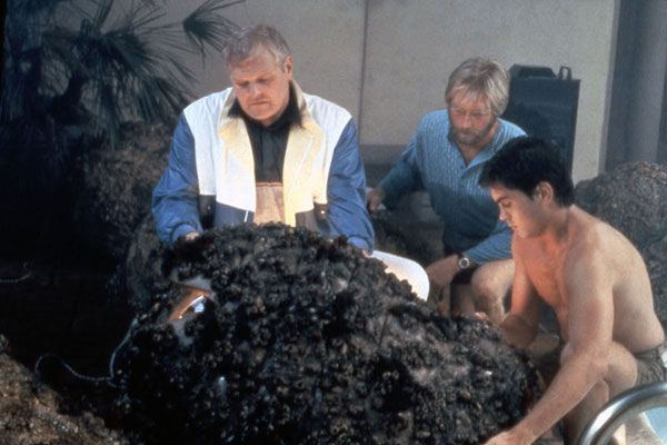 Cocoon : Foto Ron Howard