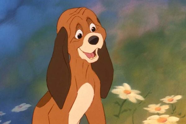 El zorro y el sabueso : Foto