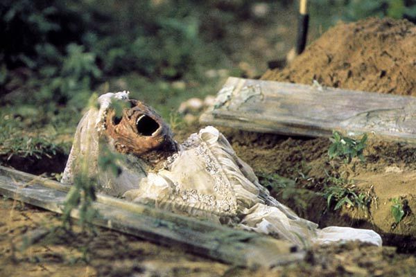 La Serpiente y el Arco Iris : Foto Wes Craven