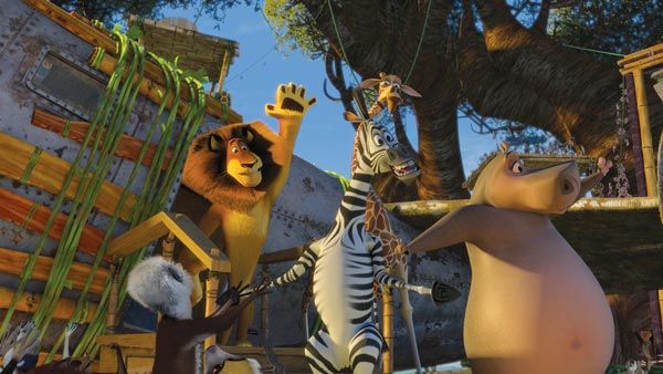 Madagascar 2 : Foto