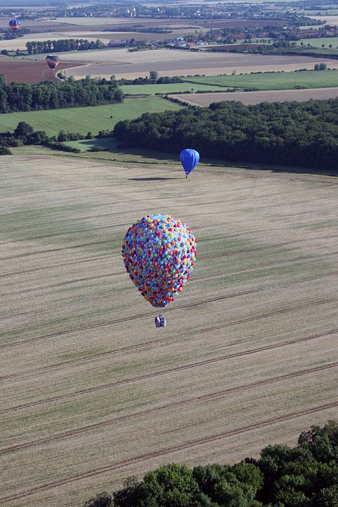 Up, una aventura de altura : Foto Bob Peterson