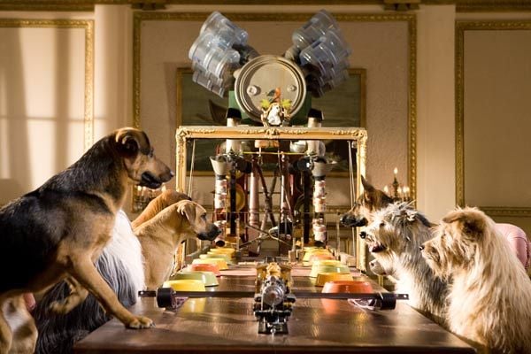 Hotel para perros : Foto