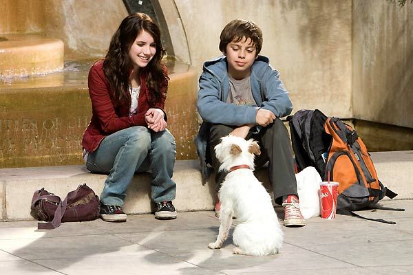 Hotel para perros : Foto Emma Roberts