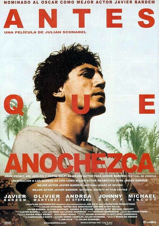 Antes que anochezca : Póster