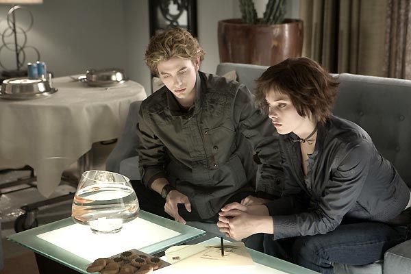 Crepúsculo : Foto Catherine Hardwicke, Ashley Greene Khoury, Stephenie Meyer