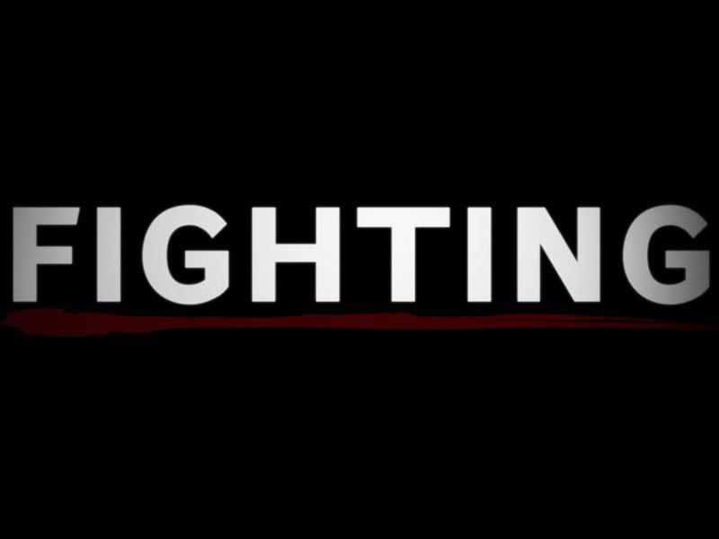 Peleador callejero : Póster