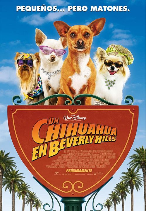 Un chihuahua de Beverly Hills : Póster
