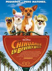 Un chihuahua de Beverly Hills : Póster