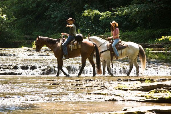 Hannah Montana - La película : Foto Miley Cyrus, Peter Chelsom