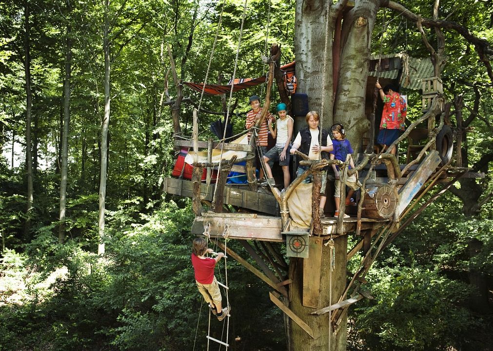 The crocodiles : Foto