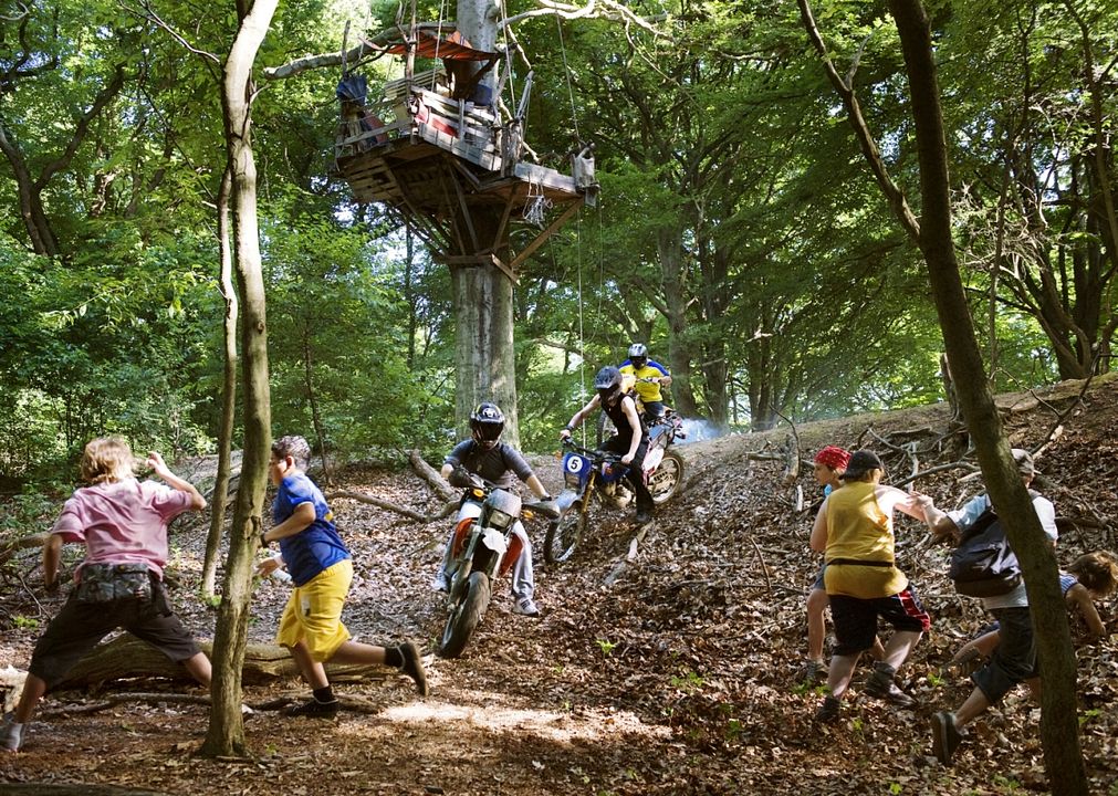 The crocodiles : Foto