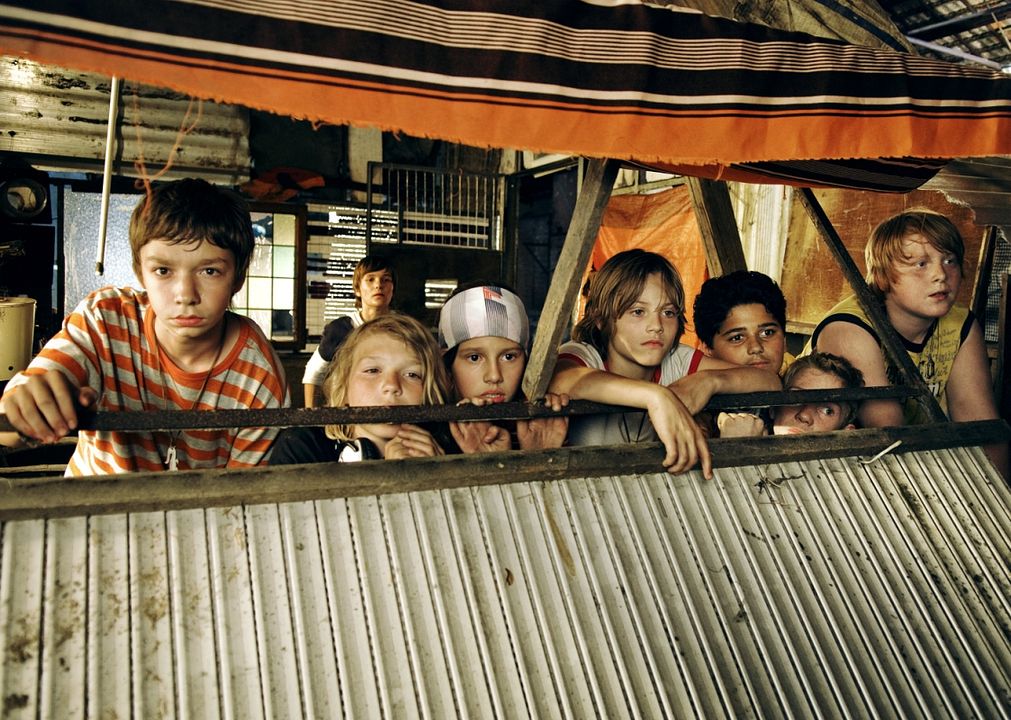 The crocodiles : Foto