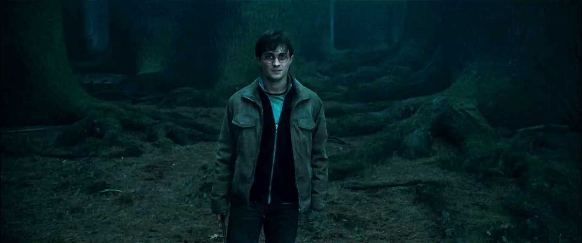 Harry Potter y las reliquias de la Muerte - Parte 1 : Foto Daniel Radcliffe