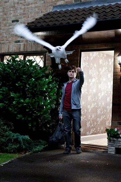 Harry Potter y las reliquias de la Muerte - Parte 1 : Foto Daniel Radcliffe