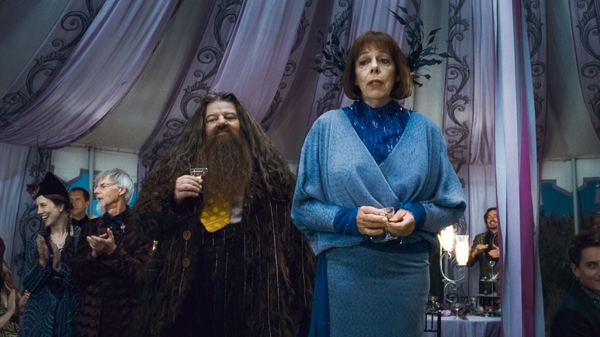 Harry Potter y las reliquias de la Muerte - Parte 1 : Foto Robbie Coltrane, Frances de la Tour