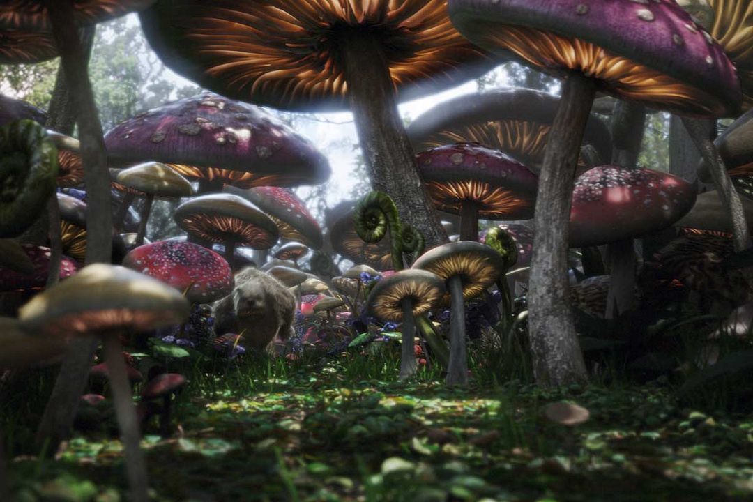 Alicia en el País de las Maravillas : Foto