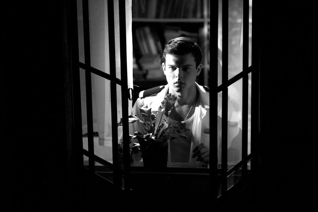 Foto Alden Ehrenreich